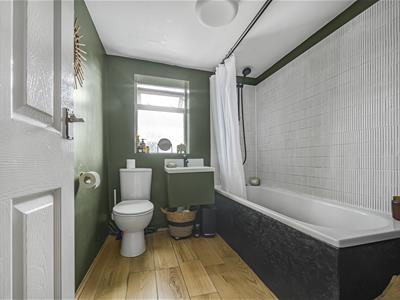 Picture 15